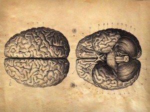 f22d57ae-dcb1-414a-947f-999e0d3240f4